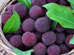 嘉弘塑料護(hù)目鏡專用PVC粒料，助力早日打贏疫情